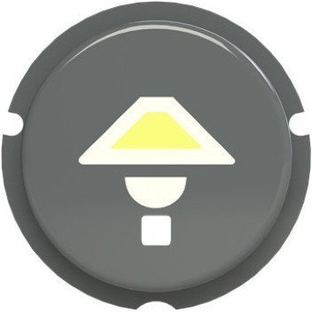 SBL-N2GR Кнопка освещение free@home, Zenit, серый, 2CLA202610N1402 в Москве